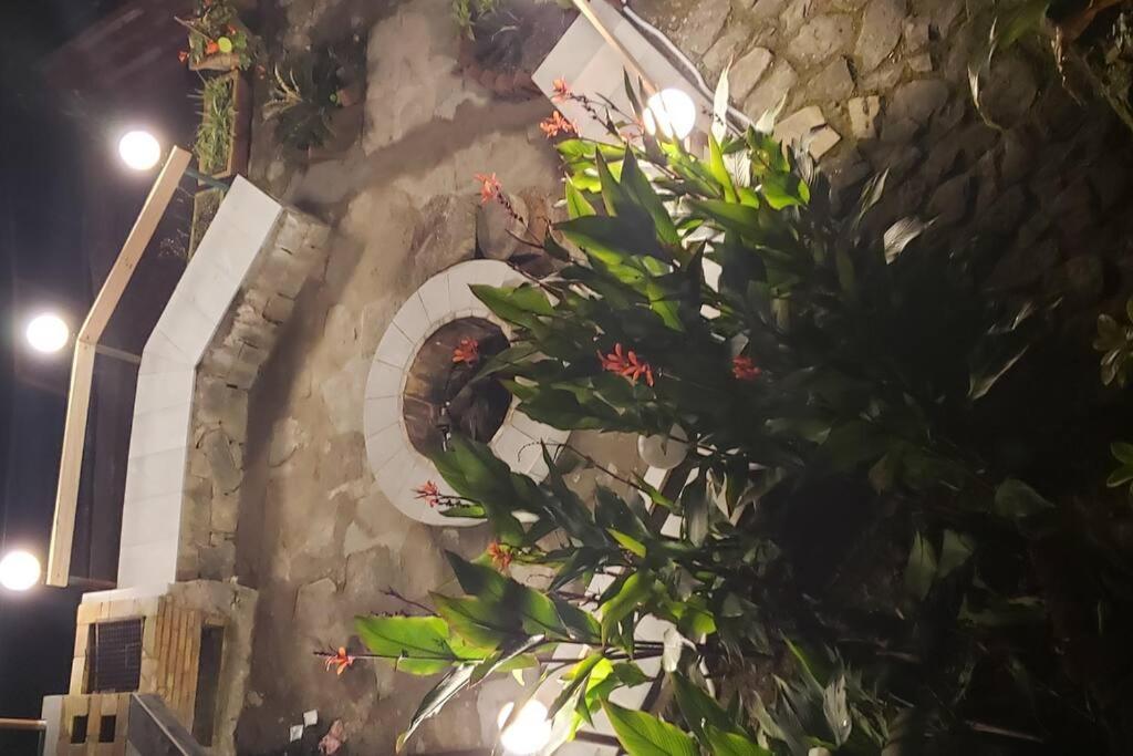 Kasauli Cascade A Cheerfull 4 Bedroom Challet Exterior foto