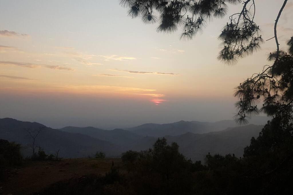 Kasauli Cascade A Cheerfull 4 Bedroom Challet Exterior foto